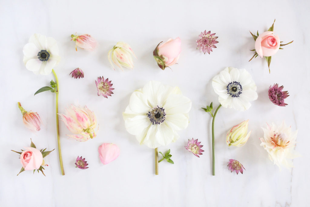 February Digital Blooms Roundup Free Tech Wallpapers Justinecelina