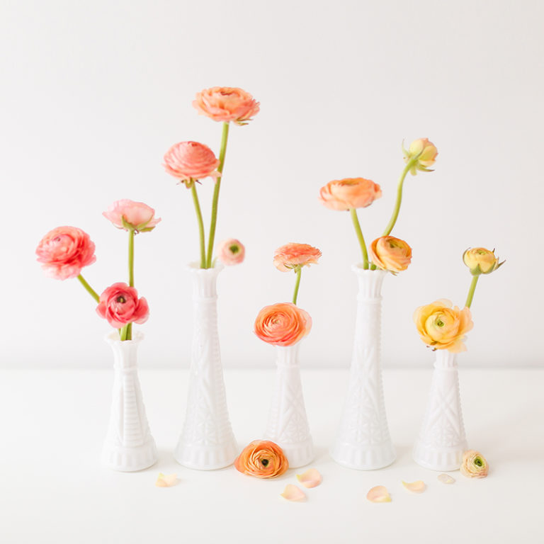 ALL ABOUT RANUNCULUS - JustineCelina