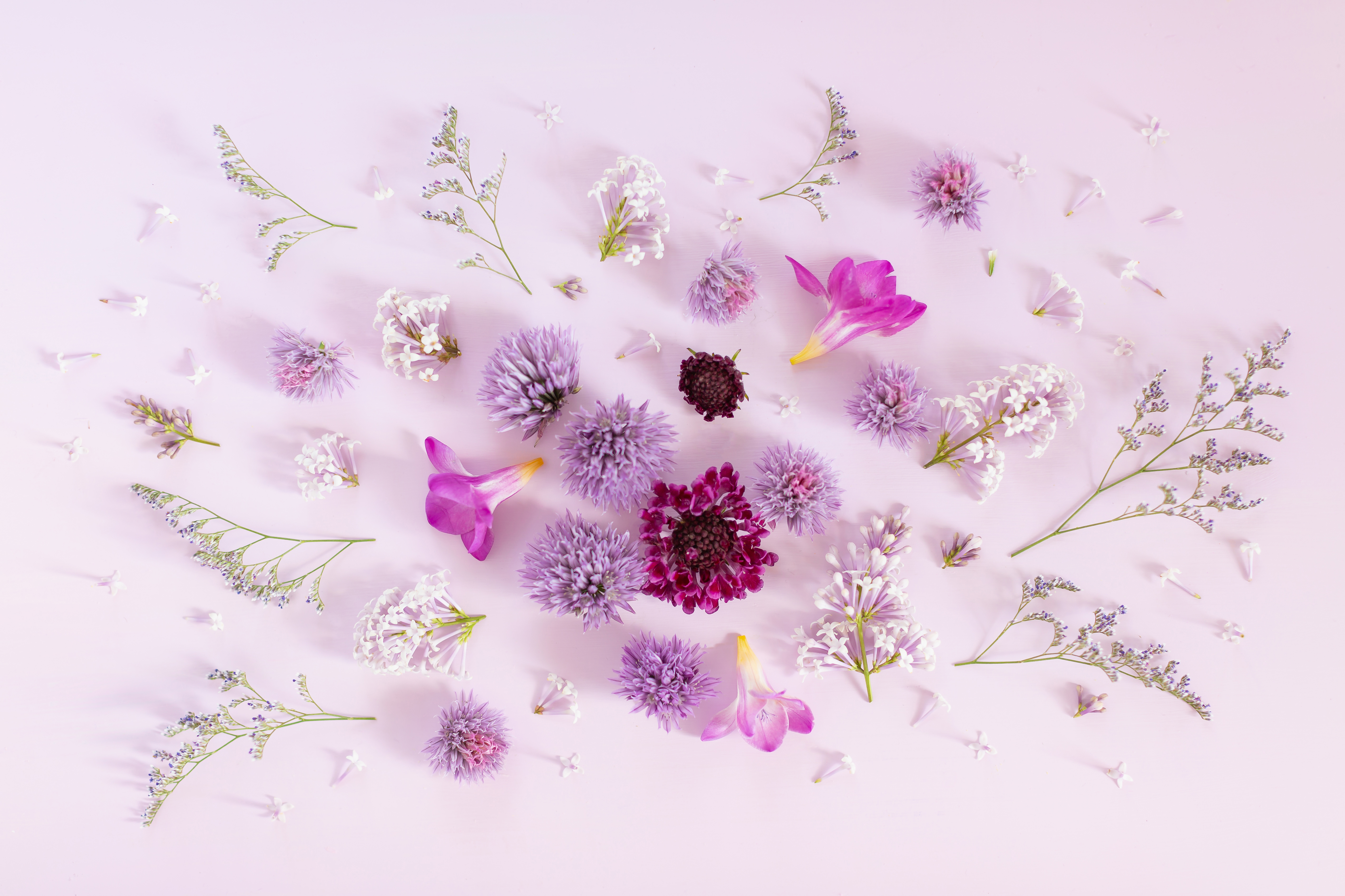 floral pattern desktop wallpaper
