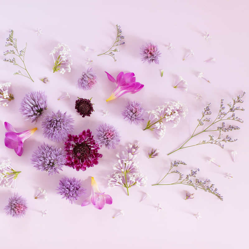 pink flower backgrounds for desktop