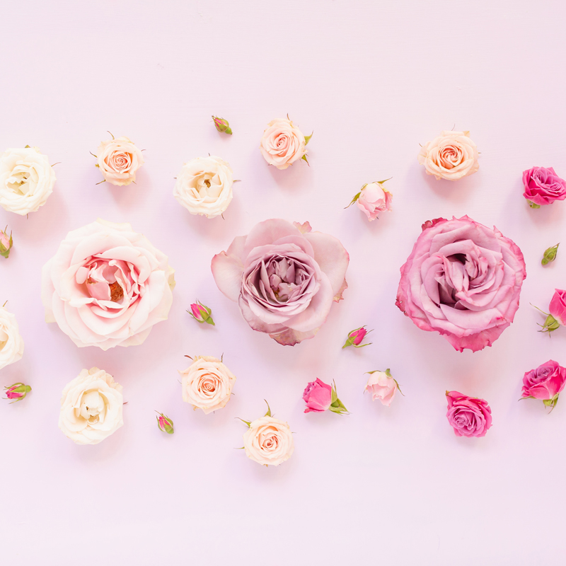 DIGITAL BLOOMS MARCH 2020 | FREE DESKTOP WALLPAPER | An ombre pastel rose FREE Desktop Wallpaper for Spring 2020 | Pink and Lavender Ombre Floral Tech Wallpaper for Spring | Pastel Pink FREE tech wallpaper Spring 2020 | Free March Flower Tech Wallpapers | JustineCelina Spring 2020 Digital Blooms | Free March 2020 Floral Desktop Wallpaper featuring Purple Haze Lavender Roses, Amnesia Lavender Novelty Roses, Mother of Pearl Roses and Spray Roses // JustineCelina.com