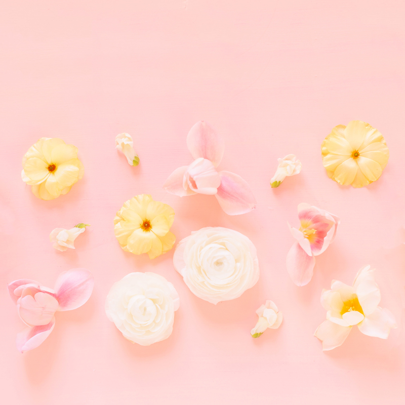 background images for desktop flowers