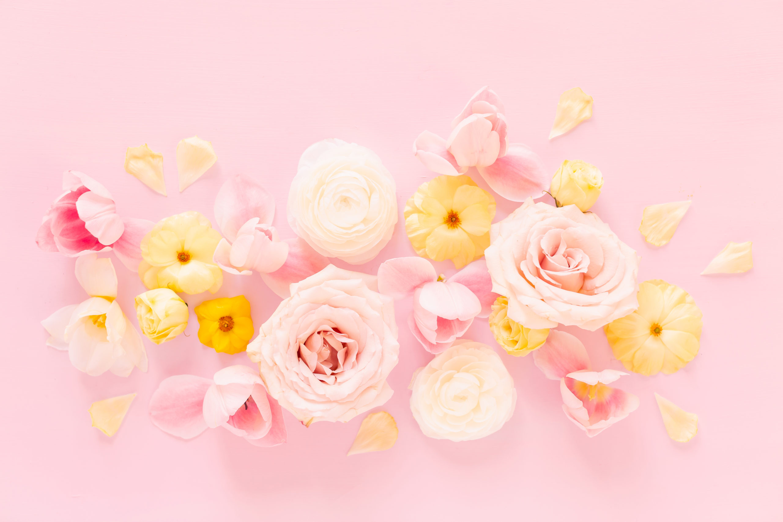Pastel Pink Flower Desktop Wallpapers  Top Free Pastel Pink Flower Desktop  Backgrounds  WallpaperAccess