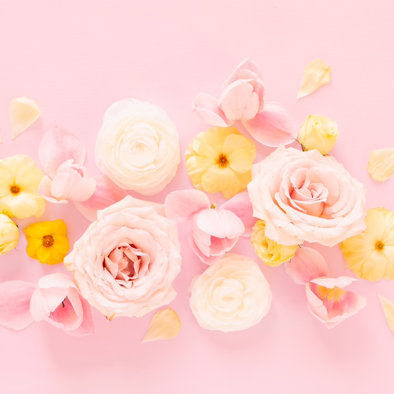 pastel flowers background