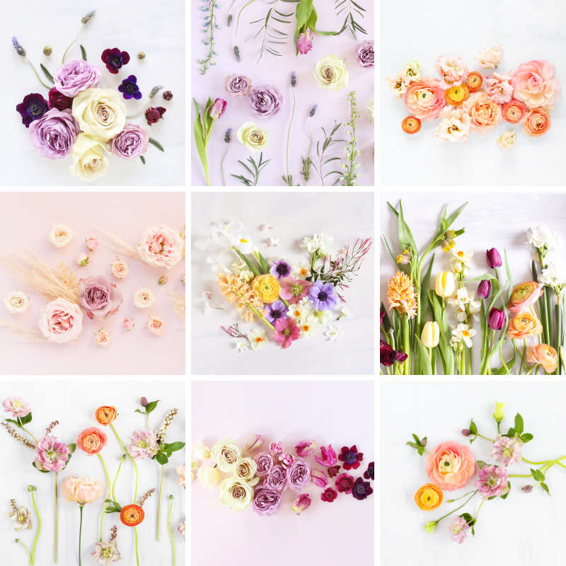 spring flowers wallpaper free