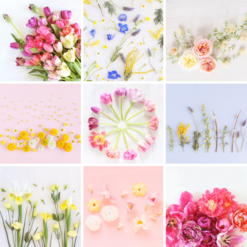 spring flowers wallpaper free