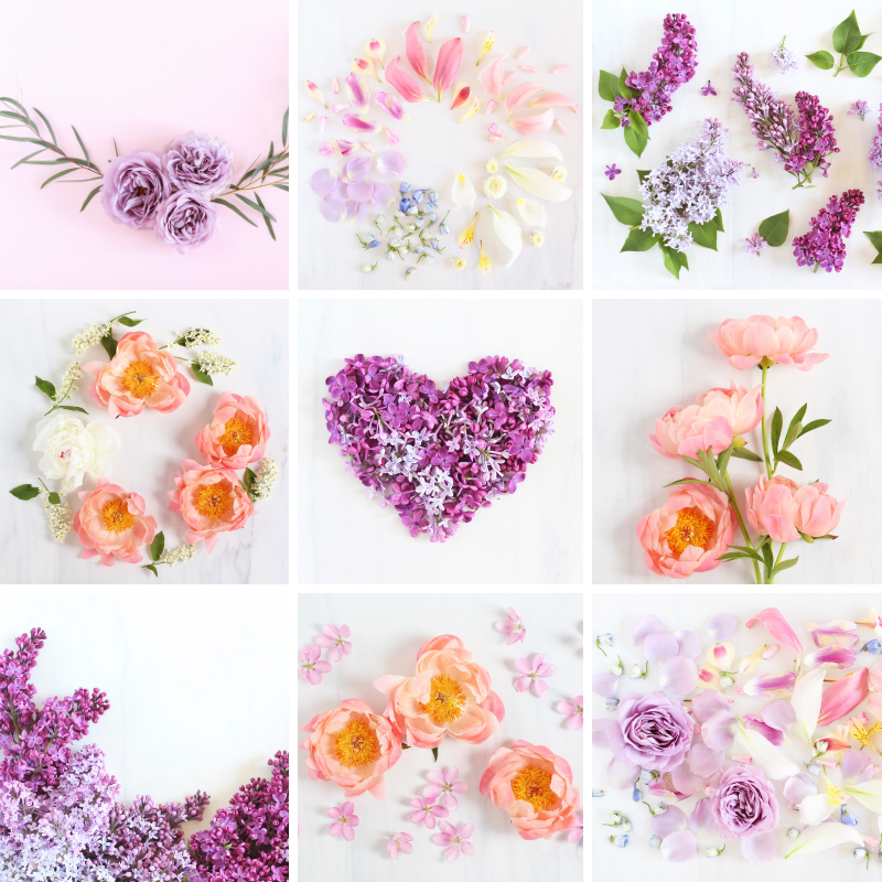 Watercolor Summer Flowers Collection - Inspire Uplift